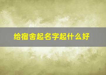 给宿舍起名字起什么好,宿舍起什么名字比较好