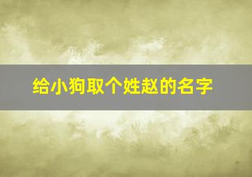 给小狗取个姓赵的名字,给小狗取个姓赵的名字怎么取