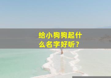 给小狗狗起什么名字好听？,给小狗狗起什么名字好听女孩