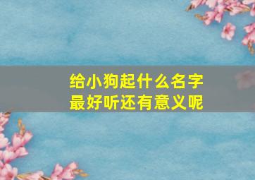 给小狗起什么名字最好听还有意义呢