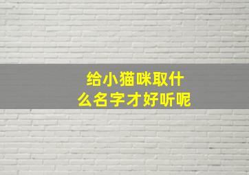 给小猫咪取什么名字才好听呢,给小猫咪起什么名字好呢