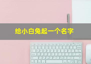 给小白兔起一个名字,给小白兔起一个名字怎么取