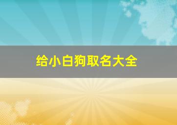 给小白狗取名大全,给小白狗取名大全四个字