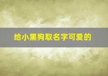 给小黑狗取名字可爱的