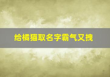 给橘猫取名字霸气又拽,给橘猫取名字叫什么最好