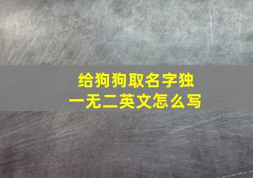 给狗狗取名字独一无二英文怎么写,给狗狗名个好听的英语名