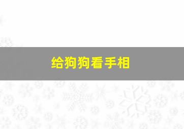 给狗狗看手相,给狗狗看它自己的照片