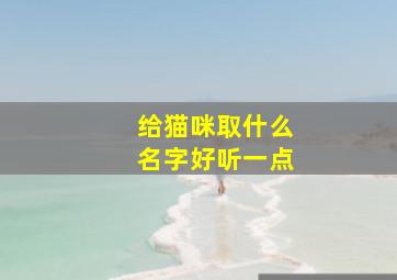 给猫咪取什么名字好听一点,给猫咪取什么名字最好听