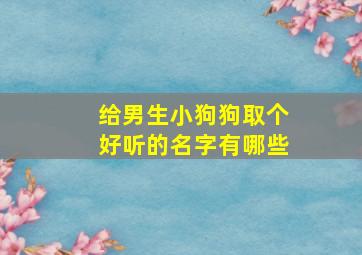 给男生小狗狗取个好听的名字有哪些,给男的小狗起名字