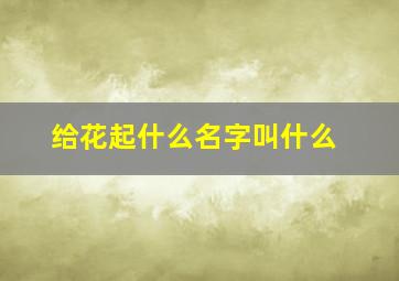 给花起什么名字叫什么