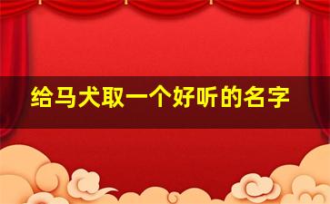 给马犬取一个好听的名字,给马犬起个好听的名字