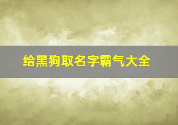 给黑狗取名字霸气大全,给黑狗起名字大全霸气