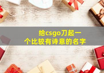 给csgo刀起一个比较有诗意的名字,csgo刀起什么名字好