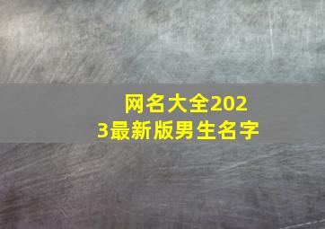 网名大全2023最新版男生名字,微信昵称2023最新的