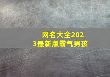 网名大全2023最新版霸气男孩,2023独特霸气网名抖音