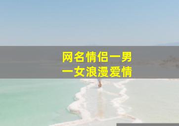 网名情侣一男一女浪漫爱情,情侣网名一男一女好听情侣网名一男一女好听的有哪些