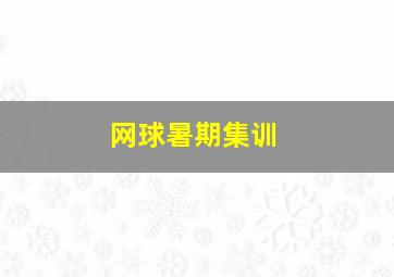 网球暑期集训,网球训练营