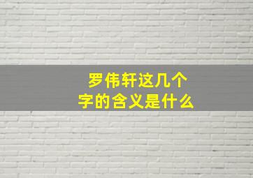 罗伟轩这几个字的含义是什么,罗伟轩这几个字的含义是什么呢