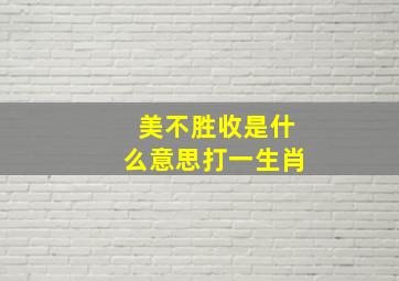 美不胜收是什么意思打一生肖,有来无回不成事