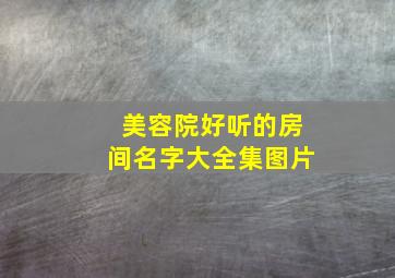 美容院好听的房间名字大全集图片,美容院好听的房间名字大全集图片欣赏