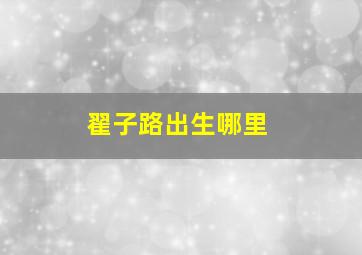 翟子路出生哪里,翟子路高考多少分