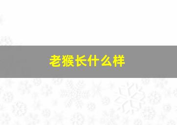 老猴长什么样,九尾狐猴长啥样