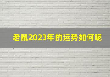 老鼠2023年的运势如何呢,鼠2023年运势详解全年运程完整版