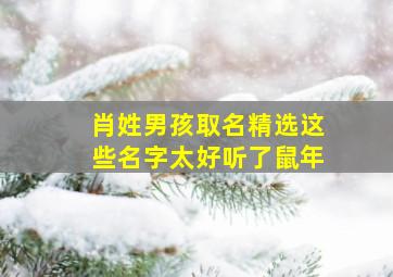 肖姓男孩取名精选这些名字太好听了鼠年,肖姓男孩取名精选 这些名字太好听了