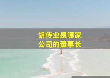 胡传业是哪家公司的董事长,广达集团的董事长是谁