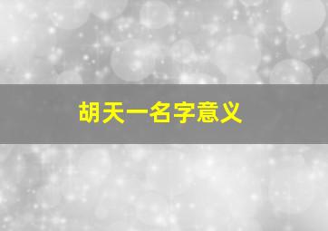 胡天一名字意义,胡一天名字什么寓意