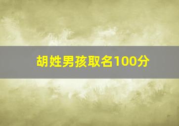 胡姓男孩取名100分