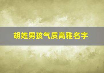 胡姓男孩气质高雅名字,胡姓男孩气质高雅名字两个字