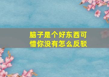 脑子是个好东西可惜你没有怎么反驳,脑子是个好东西可惜你没有英语翻译