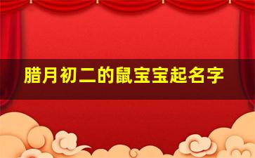 腊月初二的鼠宝宝起名字