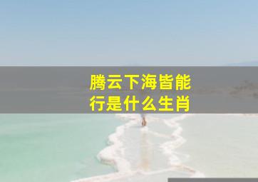 腾云下海皆能行是什么生肖,腾云驾雾是什么生肖腾云驾雾应该是什么生肖