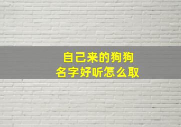 自己来的狗狗名字好听怎么取,自来狗叫什么名字好