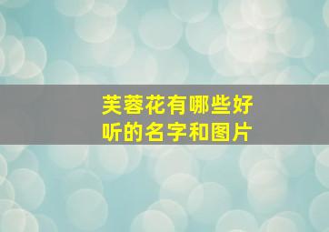 芙蓉花有哪些好听的名字和图片,芙蓉花学名叫什么