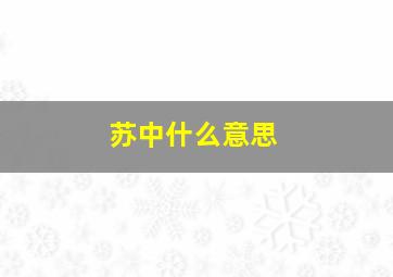 苏中什么意思,苏什么意思雪什么意思花什么意思猜字迷