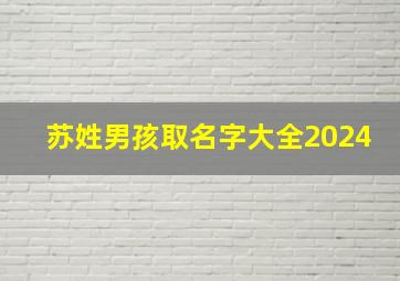 苏姓男孩取名字大全2024,苏姓男孩取名字大全古风