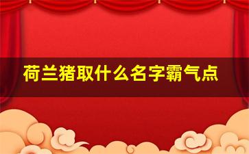 荷兰猪取什么名字霸气点,荷兰猪取什么名字最好