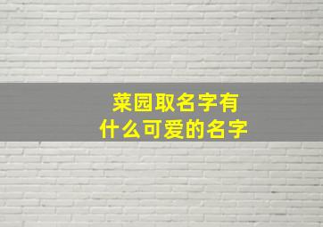 菜园取名字有什么可爱的名字,菜园取名字有什么可爱的名字吗