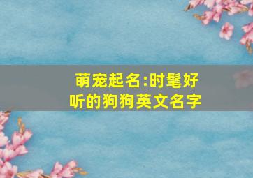 萌宠起名:时髦好听的狗狗英文名字,超好听的狗狗英文名