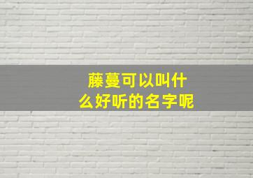 藤蔓可以叫什么好听的名字呢,藤蔓可以叫什么好听的名字呢女生