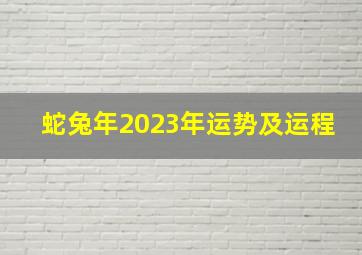 蛇兔年2023年运势及运程,属兔人2023年全年运势及运程