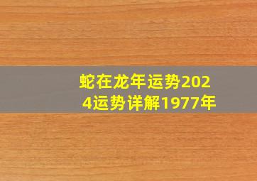 蛇在龙年运势2024运势详解1977年,蛇在龙年的运势如何