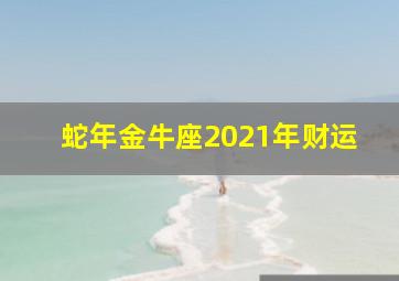 蛇年金牛座2021年财运