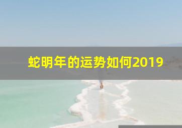 蛇明年的运势如何2019,属蛇人的运程