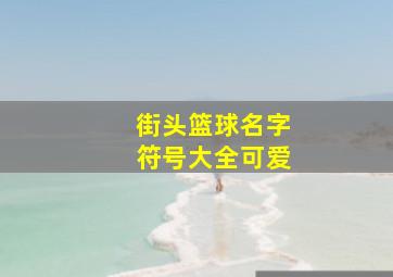 街头篮球名字符号大全可爱,街头篮球里有的人名字的符号类似这样的乀的那个怎么打啊