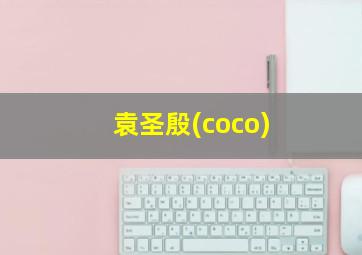 袁圣殷(coco),袁圣殷(CoCo)