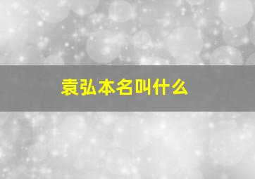 袁弘本名叫什么,袁弘是干什么的